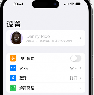 昌化镇appleID维修服务iPhone设置中Apple ID显示为灰色无法使用 