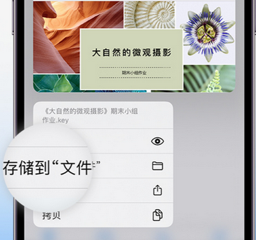 昌化镇apple维修中心分享iPhone文件应用中存储和找到下载文件