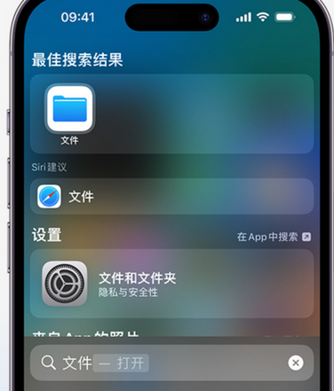 昌化镇apple维修中心分享iPhone文件应用中存储和找到下载文件 