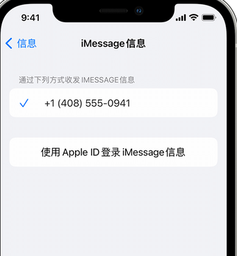 昌化镇apple维修iPhone上无法正常发送iMessage信息 