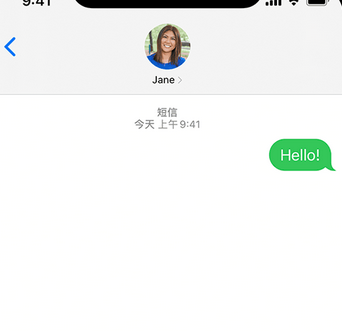 昌化镇apple维修iPhone上无法正常发送iMessage信息