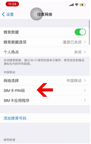 昌化镇苹果14维修网分享如何给iPhone14的SIM卡设置密码 