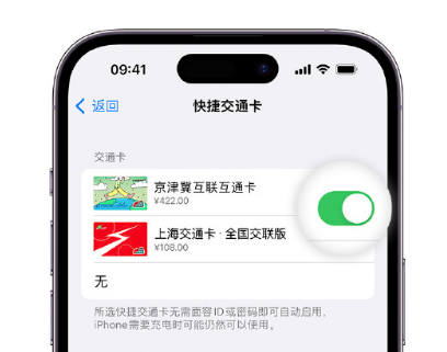 昌化镇apple维修点分享iPhone上更换Apple Pay快捷交通卡手绘卡面 