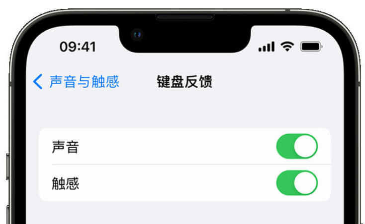 昌化镇苹果手机维修分享iPhone 14触感键盘使用方法 