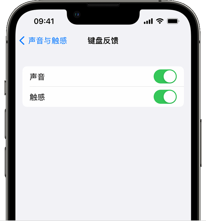 昌化镇苹果14维修店分享如何在 iPhone 14 机型中使用触感键盘 