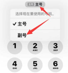 昌化镇苹果14维修店分享iPhone 14 Pro Max使用副卡打电话的方法 