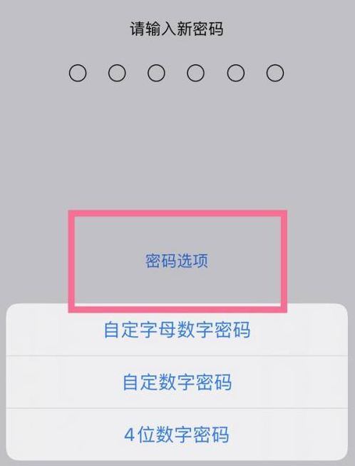 昌化镇苹果14维修分享iPhone 14plus设置密码的方法 