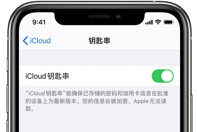 昌化镇苹果手机维修分享在 iPhone 上开启 iCloud 钥匙串之后会储存哪些信息 